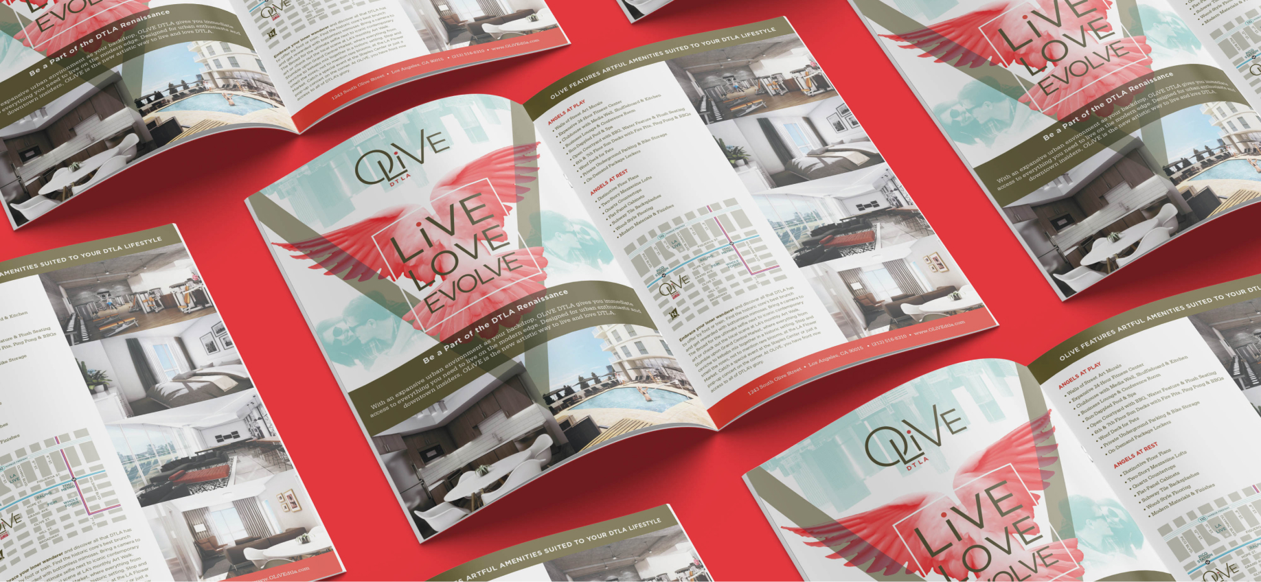 Olive_Brochure