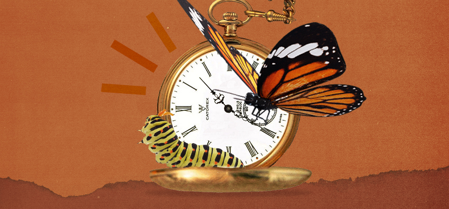 Metamorphosis of branding: Caterpillar & butterfly near an antique pocket watch