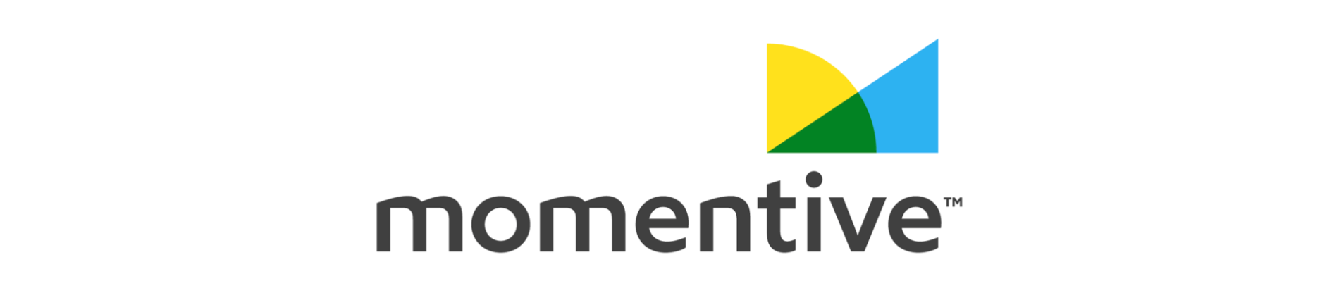 momentive-rebranding-example