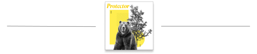 Protector Brand