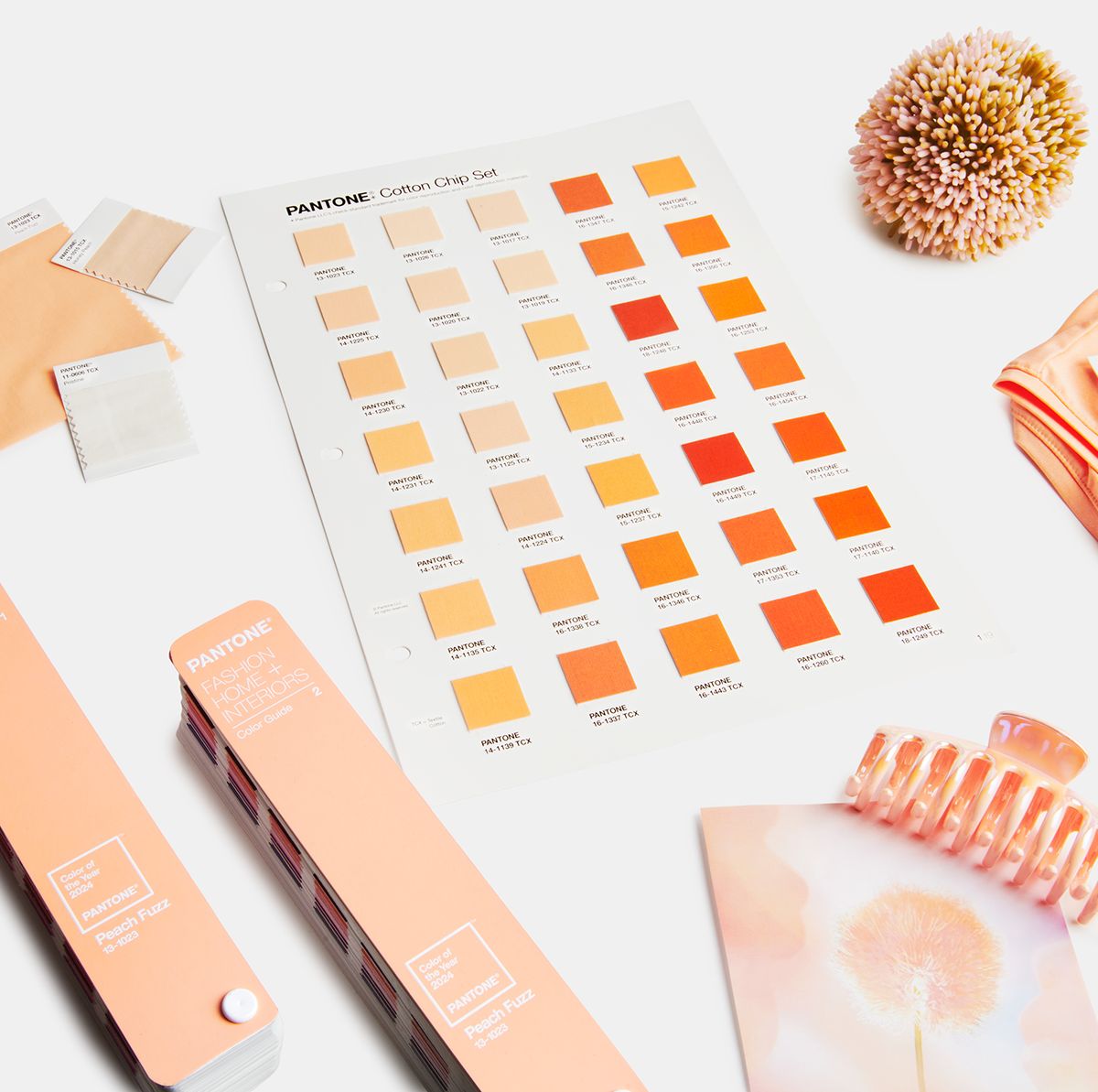 Pantone’s 2024 Color of the Year: Peach Fuzz