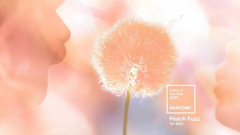 Pantone 2024 color of the year Peach Fuzz Dandelion with swatch